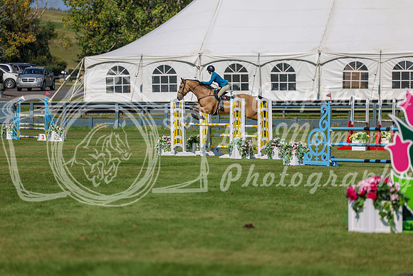 2025 - Shea - Fall Finale - Saturday September 13th - 10931