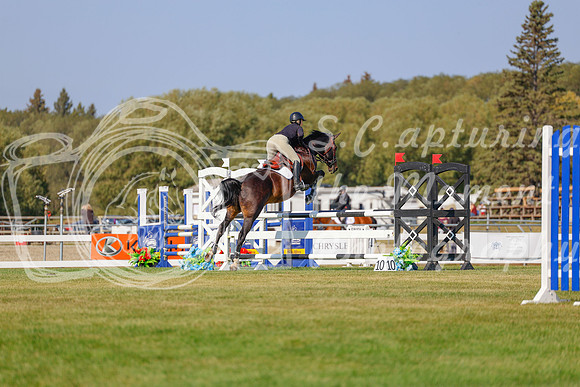 2025 - Haylee - Harvest Horse Show - Sunday, September 13th 05848