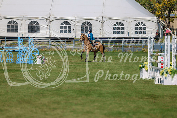 2025 - Shea - Fall Finale - Saturday September 13th - 10933