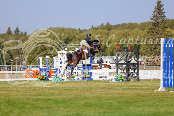 2025 - Haylee - Harvest Horse Show - Sunday, September 13th 05849
