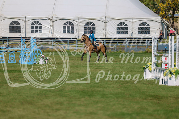 2025 - Shea - Fall Finale - Saturday September 13th - 10934