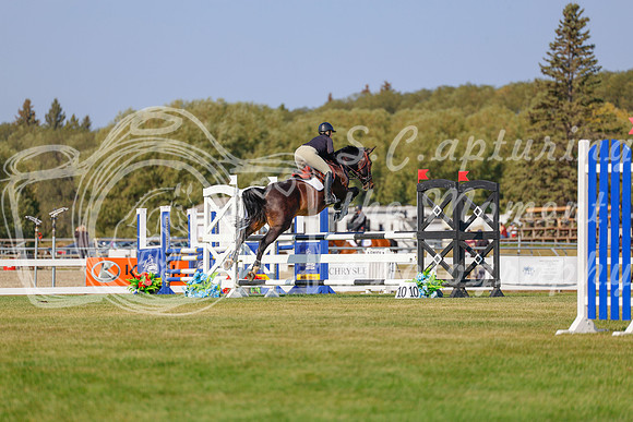 2025 - Haylee - Harvest Horse Show - Sunday, September 13th 05850
