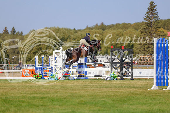 2025 - Haylee - Harvest Horse Show - Sunday, September 13th 05851