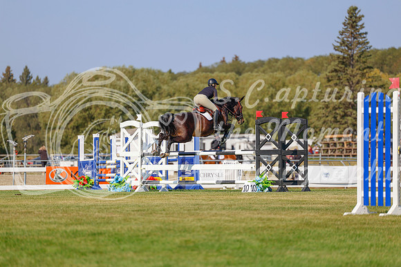 2025 - Haylee - Harvest Horse Show - Sunday, September 13th 05853
