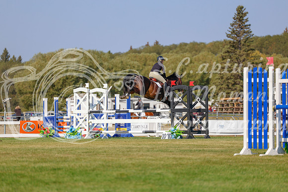 2025 - Haylee - Harvest Horse Show - Sunday, September 13th 05859