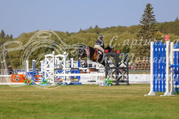 2025 - Haylee - Harvest Horse Show - Sunday, September 13th 05860