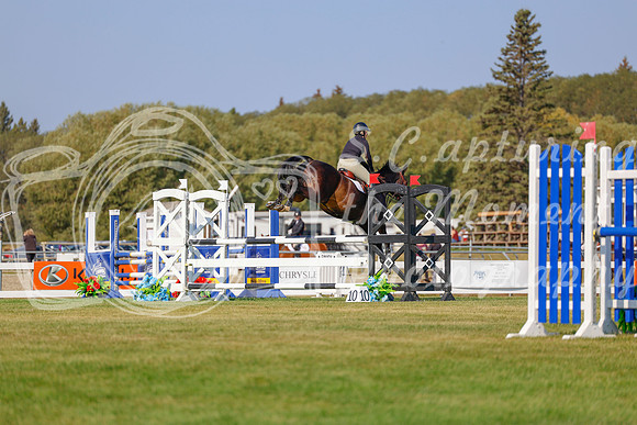 2025 - Haylee - Harvest Horse Show - Sunday, September 13th 05861