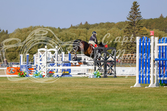 2025 - Haylee - Harvest Horse Show - Sunday, September 13th 05862