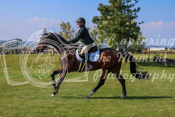 2025 - Shea - Fall Finale - Saturday September 13th - 09092