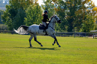 2025 - Shea - Fall Finale - Saturday September 13th - 02870