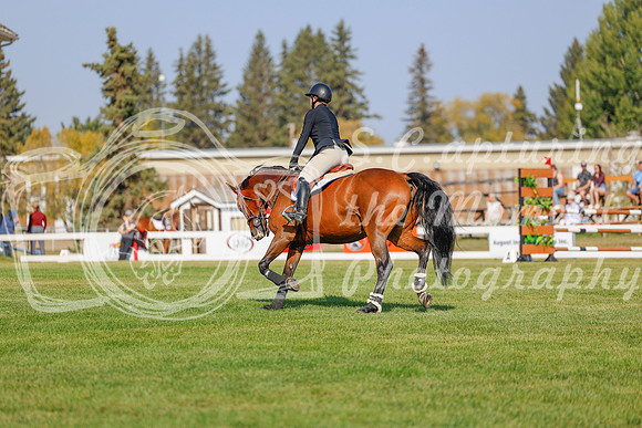 2025 - Haylee - Harvest Horse Show - Sunday, September 13th 05946