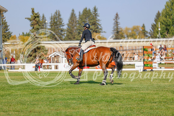 2025 - Haylee - Harvest Horse Show - Sunday, September 13th 05947