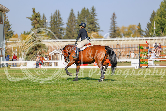 2025 - Haylee - Harvest Horse Show - Sunday, September 13th 05948