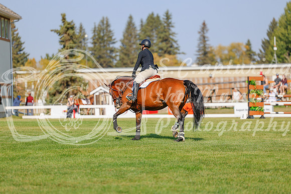 2025 - Haylee - Harvest Horse Show - Sunday, September 13th 05949