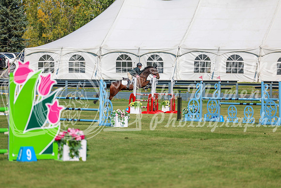 2025 - Shea - Fall Finale - Saturday September 13th - 09153