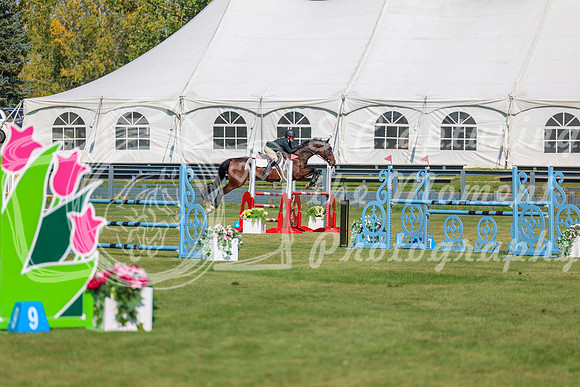 2025 - Shea - Fall Finale - Saturday September 13th - 09156