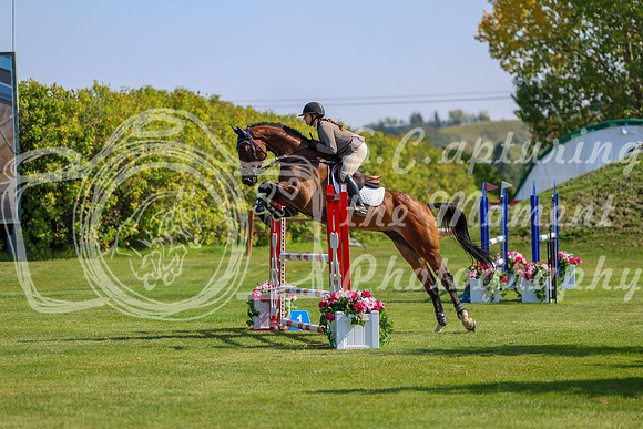 2025 - Shea - Fall Finale - Saturday September 13th - 08935