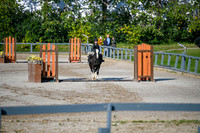 2025 - MJ - Fall Finale - Saturday September 13th - 06179