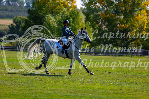 2025 - Shea - Fall Finale - Saturday September 13th - 09029