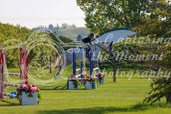 2025 - Shea - Fall Finale - Saturday September 13th - 02648