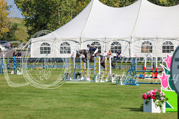 2025 - Shea - Fall Finale - Saturday September 13th - 03502