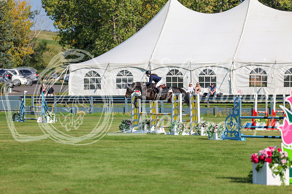 2025 - Shea - Fall Finale - Saturday September 13th - 03506