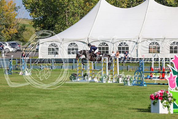 2025 - Shea - Fall Finale - Saturday September 13th - 03505