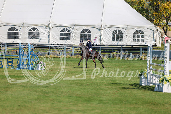 2025 - Shea - Fall Finale - Saturday September 13th - 03510