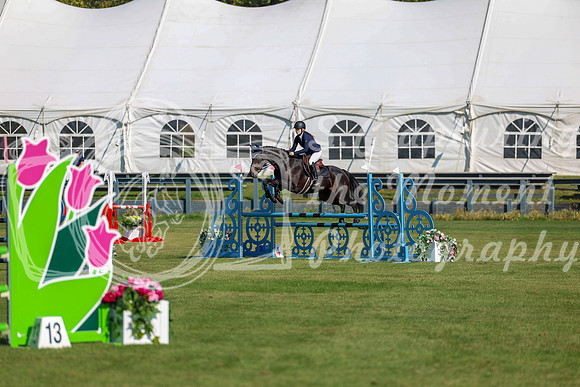 2025 - Shea - Fall Finale - Saturday September 13th - 03513