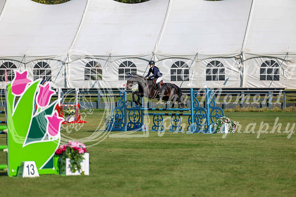 2025 - Shea - Fall Finale - Saturday September 13th - 03514