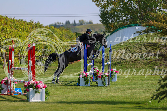 2025 - Shea - Fall Finale - Saturday September 13th - 09277