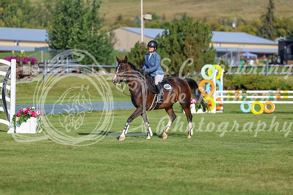 2025 - Shea - Fall Finale - Saturday September 13th - 02053
