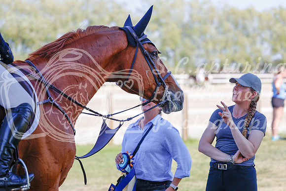 2025 - Haylee - Harvest Horse Show - Sunday, September 13th 06861