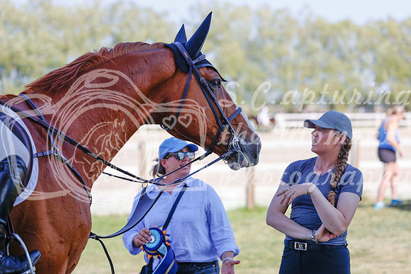 2025 - Haylee - Harvest Horse Show - Sunday, September 13th 06863