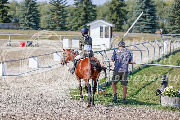 2025 - Haylee - Harvest Horse Show - Sunday, September 13th 06173