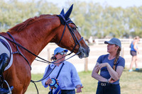 2025 - Haylee - Harvest Horse Show - Sunday, September 13th 06864