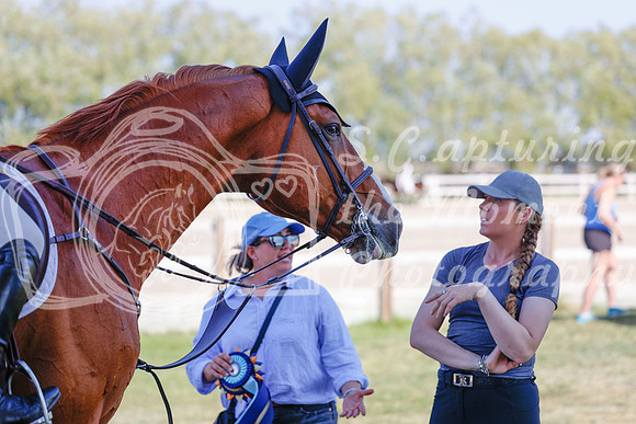 2025 - Haylee - Harvest Horse Show - Sunday, September 13th 06864