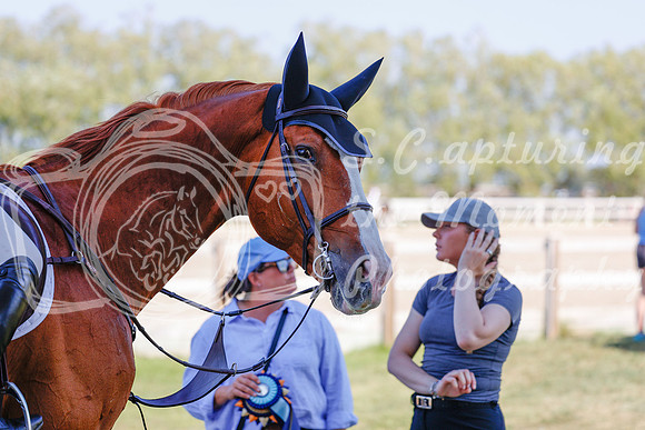 2025 - Haylee - Harvest Horse Show - Sunday, September 13th 06868