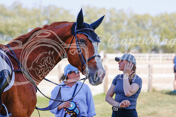 2025 - Haylee - Harvest Horse Show - Sunday, September 13th 06869