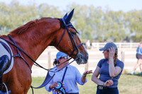 2025 - Haylee - Harvest Horse Show - Sunday, September 13th 06866