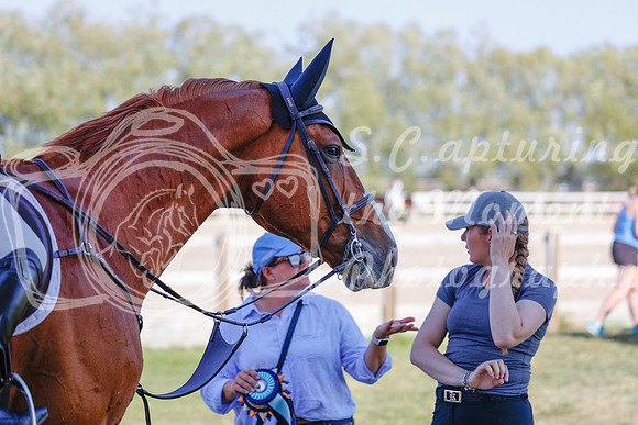 2025 - Haylee - Harvest Horse Show - Sunday, September 13th 06866