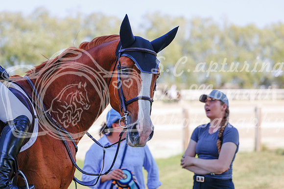 2025 - Haylee - Harvest Horse Show - Sunday, September 13th 06871