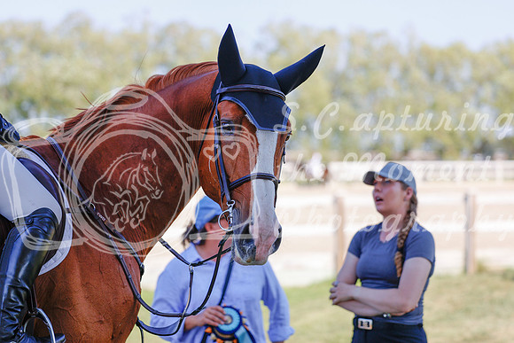 2025 - Haylee - Harvest Horse Show - Sunday, September 13th 06872