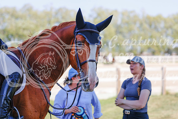2025 - Haylee - Harvest Horse Show - Sunday, September 13th 06873