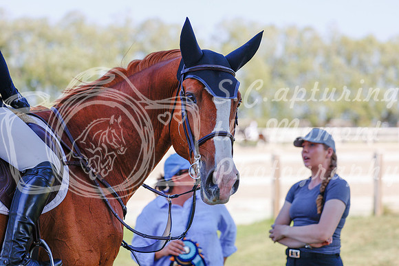 2025 - Haylee - Harvest Horse Show - Sunday, September 13th 06874