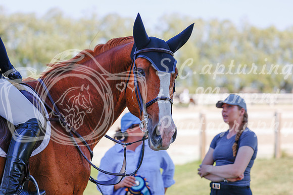 2025 - Haylee - Harvest Horse Show - Sunday, September 13th 06875