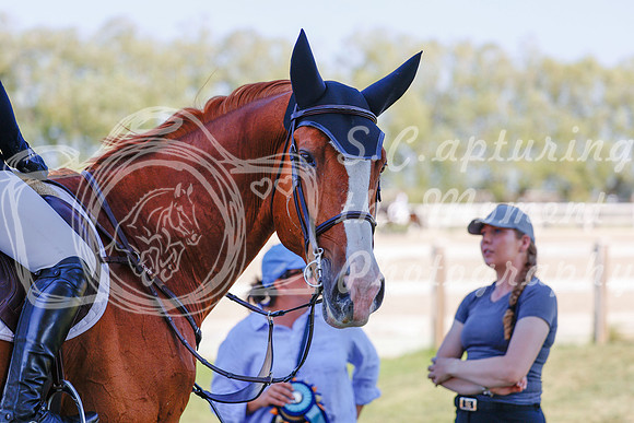 2025 - Haylee - Harvest Horse Show - Sunday, September 13th 06876
