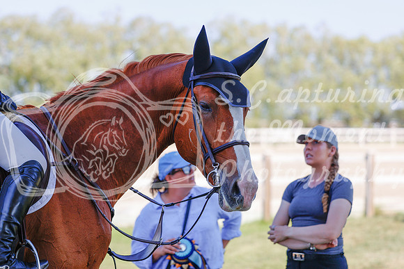 2025 - Haylee - Harvest Horse Show - Sunday, September 13th 06877