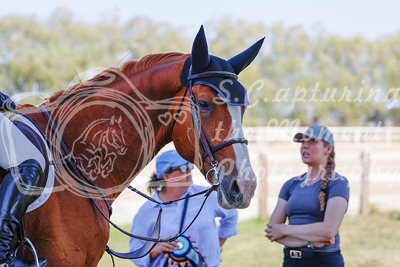 2025 - Haylee - Harvest Horse Show - Sunday, September 13th 06878