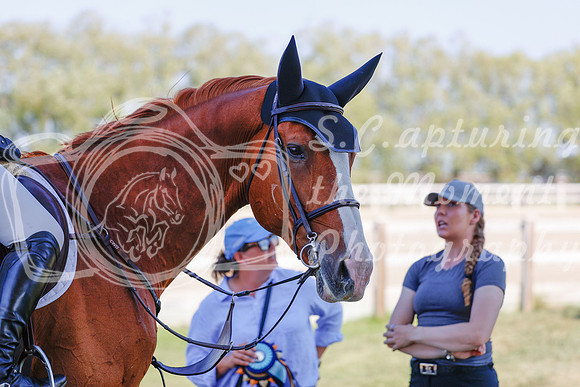 2025 - Haylee - Harvest Horse Show - Sunday, September 13th 06879
